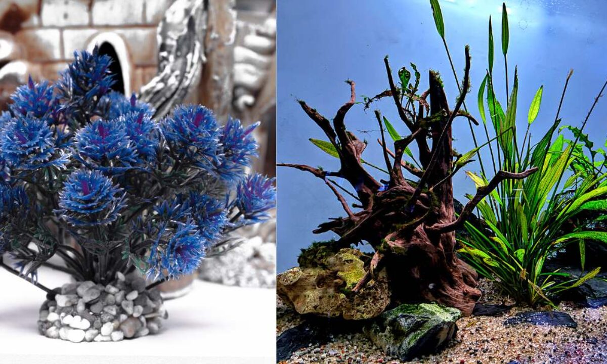 Cleaning Aquarium Decorations with Vinegar: The Ultimate Guide